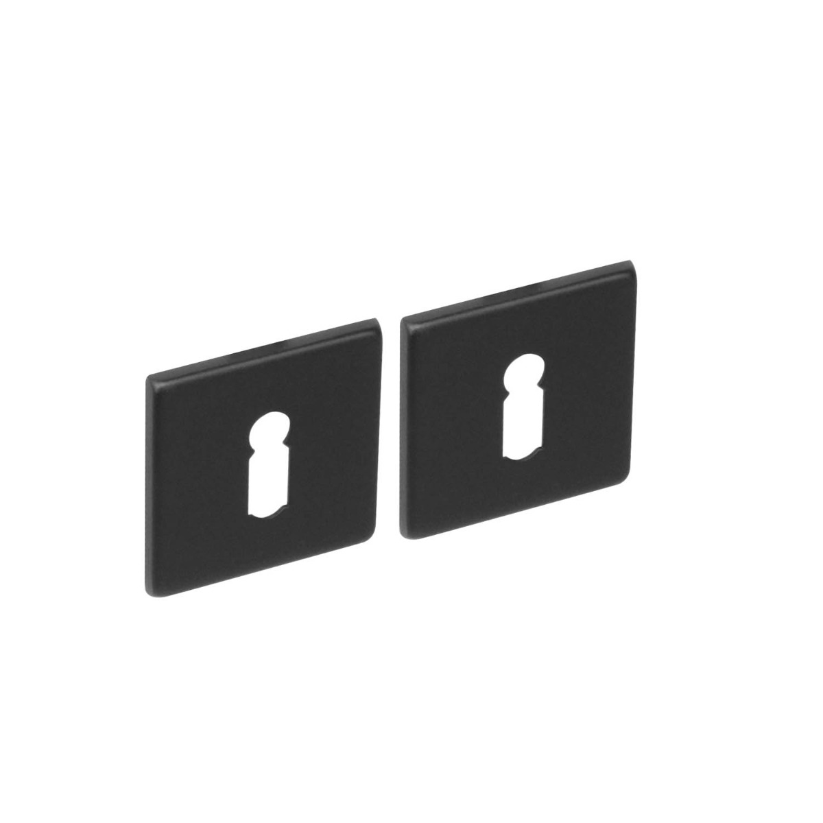 Intersteel Rozet met sleutelgat vierkant rvs geborsteld mat zwart 3 0023.343386