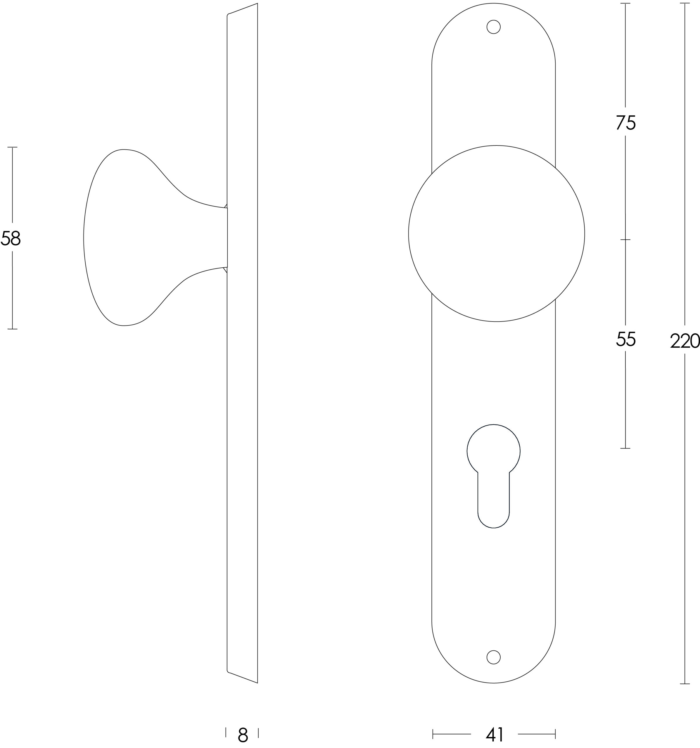 Intersteel Knop Paddenstoel op schild profielcilindergat 55 mm rvs geborsteld 2 0035.269529 2 scaled