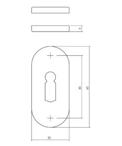 Intersteel Rozet met sleutelgat ovaal verdekt rvs geborsteld 4 mm 3 0035.341886 2