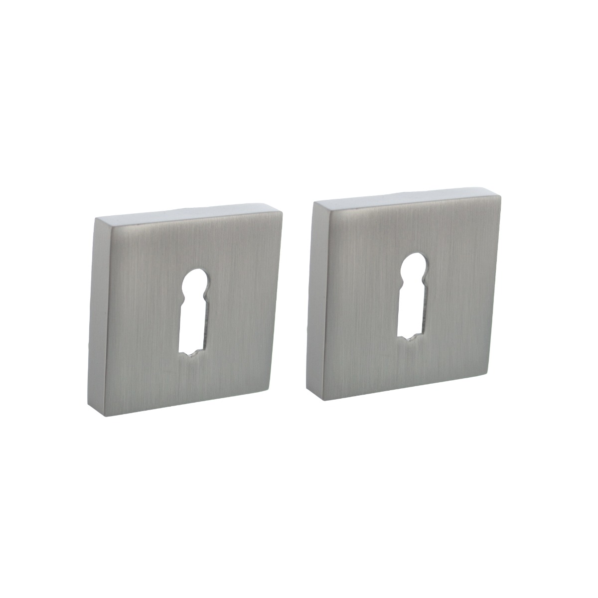 Intersteel Sleutelrozetten verdekt 52x52x10mm met nokken rvs